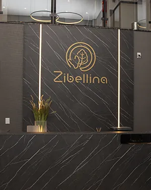 Estrutura da clínica Zibellina Dermatologia em Gaspar, SC – foto 2