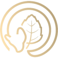 logo-rotatoria logo-rotatoria